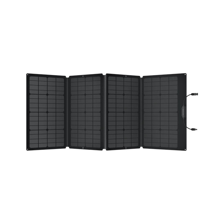 EcoFlow 160W Portable Solar Panel - Image 2